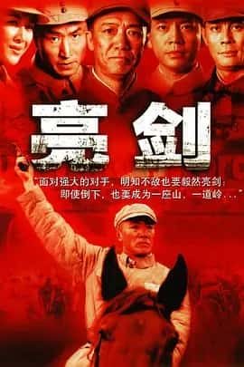 亮剑 (2005) 全30集（收藏版）