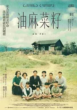 油麻菜籽 (1983) 国语中字 1080P