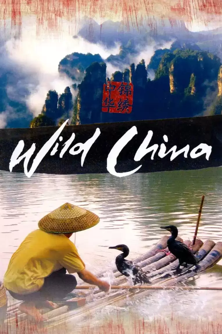 美丽中国 (2008) 1080P 全6集