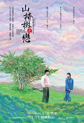 山楂树之恋 (2010) 1080P 国语中字