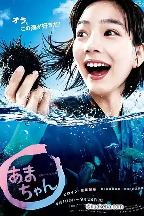 海女 (2013) 720p HDTV 外挂简日 156集全