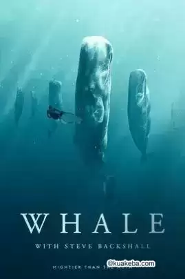 Whale with Steve Backshall  (2023) 1080P 英语中字