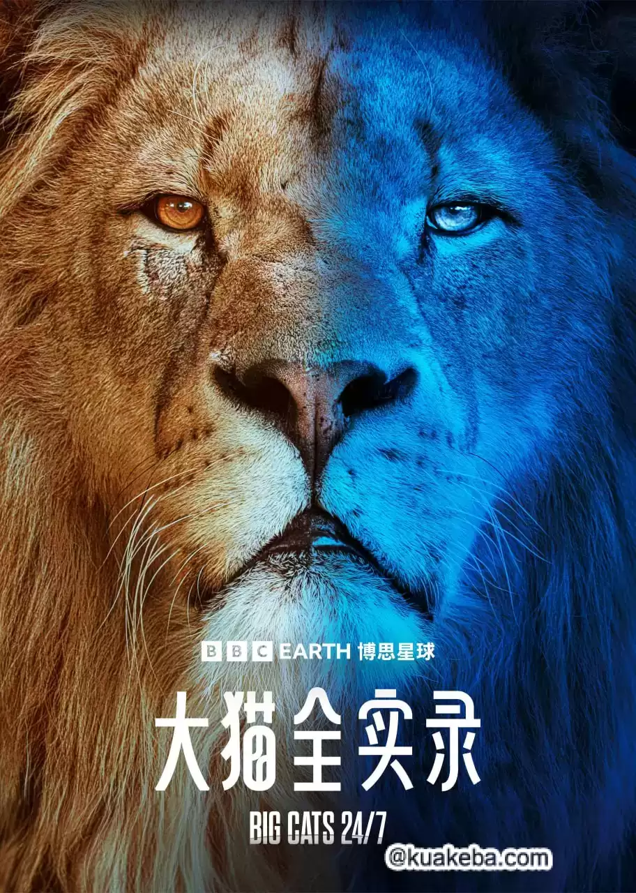 大猫全实录 (2024) 4K 英语中字