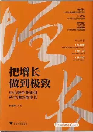 把增长做到极致 [﻿经济管理] [pdf+全格式]