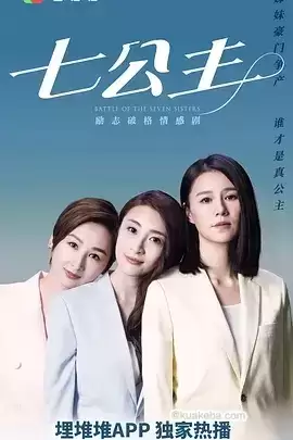 七公主 (2021) 1080P 国语中字 全26集