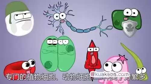 看动画趣味学初中生物