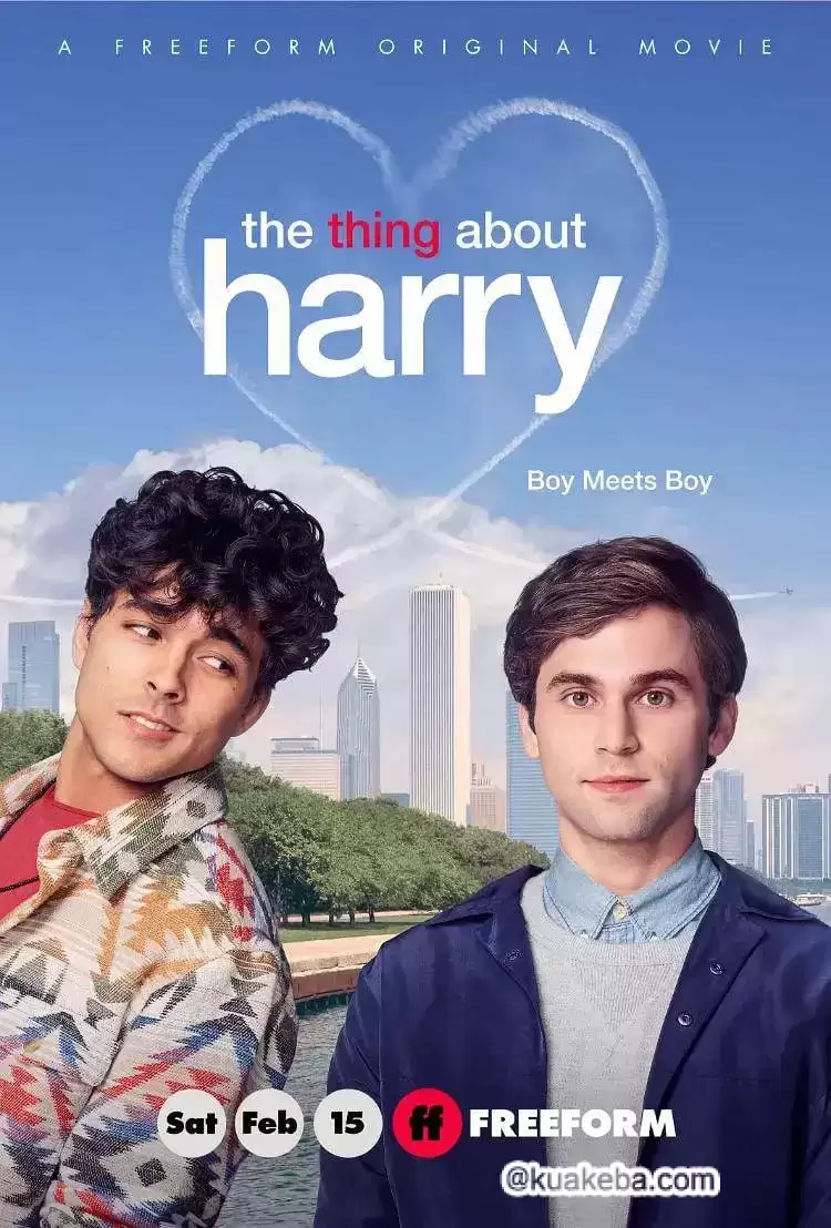 关于哈利的那些事 The Thing About Harry (2020)