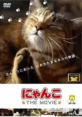 【纪录片】猫咪物语【2006~2012】【1-5合集】日语中字