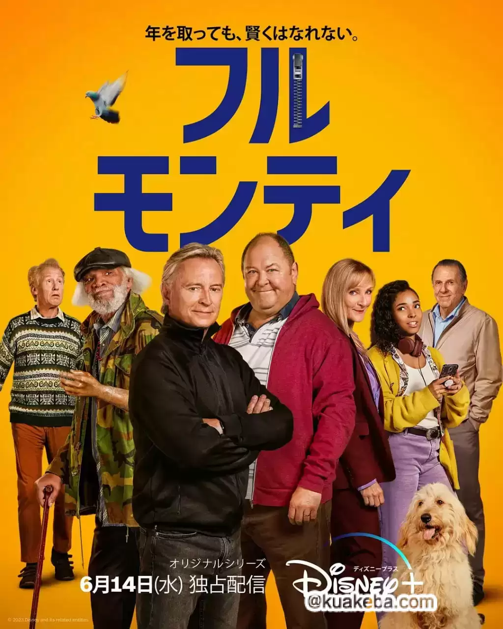 光猪六壮士(剧版) (2023) 1080P 英语中字 全8集