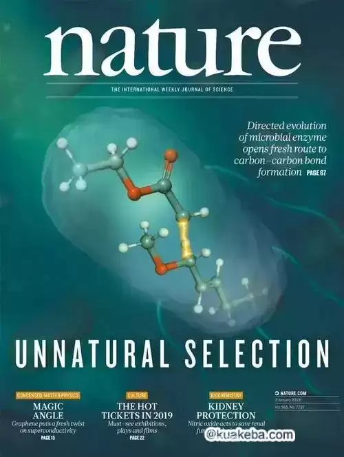 《Nature》自然杂志 全球权威科研期刊   十年PDF合订本  稀缺资源