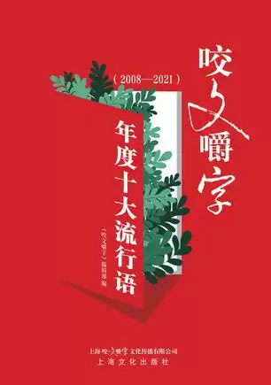 《咬文嚼字》年度十大流行语 （2008—2021） [﻿人文社科] [pdf+全格式]